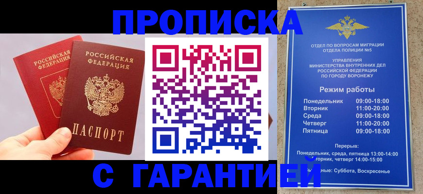 прописка паспорт в Мончегорске